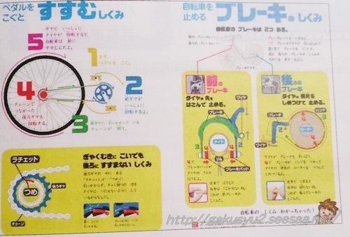 進研ゼミ小学講座チャレンジ プラス 知的好奇心 かがく組 : 進研ゼミ